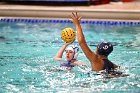 WWPolo @ CC  Wheaton College Women’s Water Polo at Connecticut College. - Photo By: KEITH NORDSTROM : Wheaton, water polo